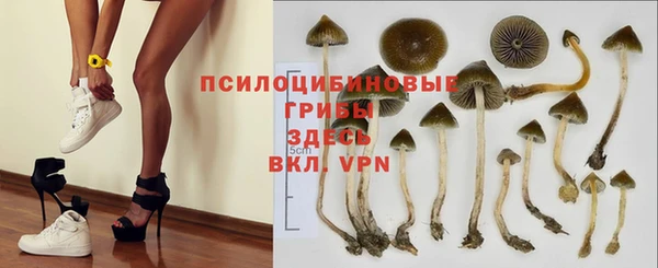 винт Алзамай
