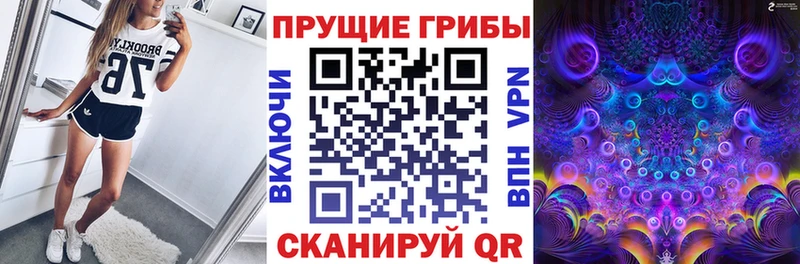 Псилоцибиновые грибы Magic Shrooms  МЕГА маркетплейс  Рубцовск 